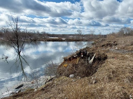 В Воронежской области почву совхоза Масловский загрязнили очистные сточные воды