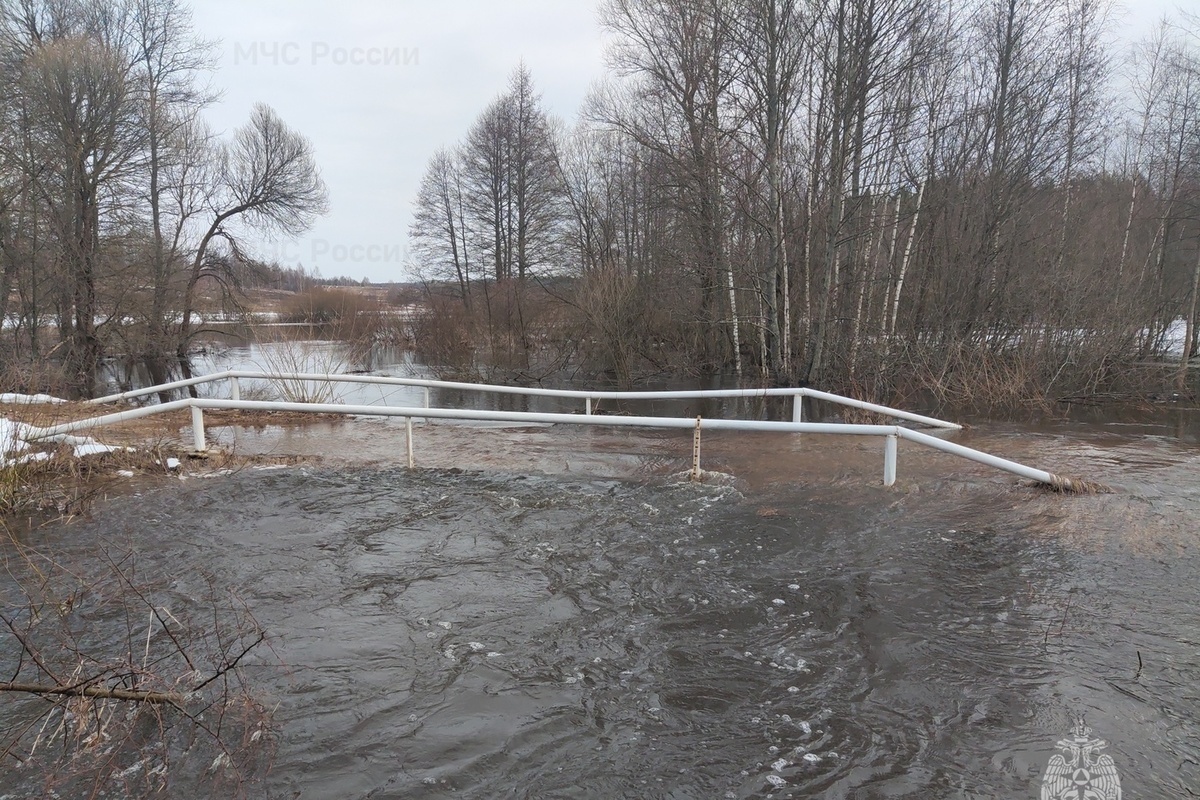 мост в смоленске