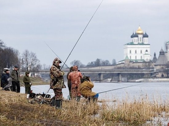 Судак, рак и щука: некоторые виды рыб запретили ловить в Псковской области