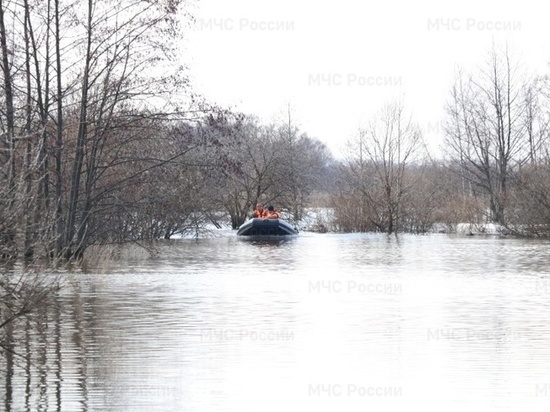 МЧС: За сутки уровень воды в Оке в Рязани повысился на 44 сантиметра