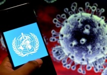 Ситуация с коронавирусной инфекцией в Российской Федерации не вызывает тревоги