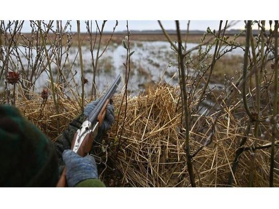 В апреле откроется охота на дичь в Смоленской области