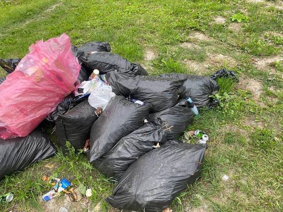 Эксперт-эколог о мусорных объектах в карьерах Ленобласти: «Они под копирку, нет ни проекта полигона, ни проекта рекультивации»