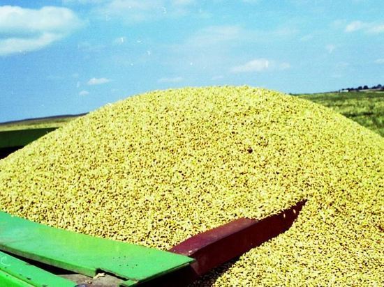 В Польше фермеры начали протестовать против поставок зерна с Украины