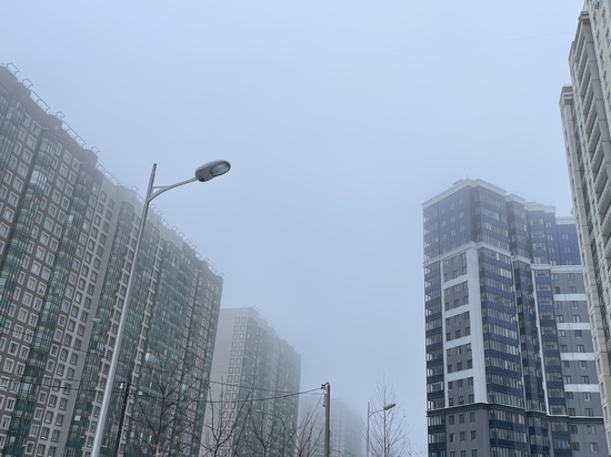 Туман накроет Ленобласть в ночь на 24 марта
