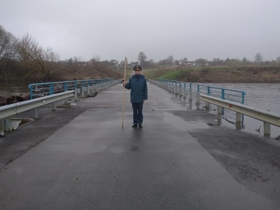 В Орловской области будут чистить мосты