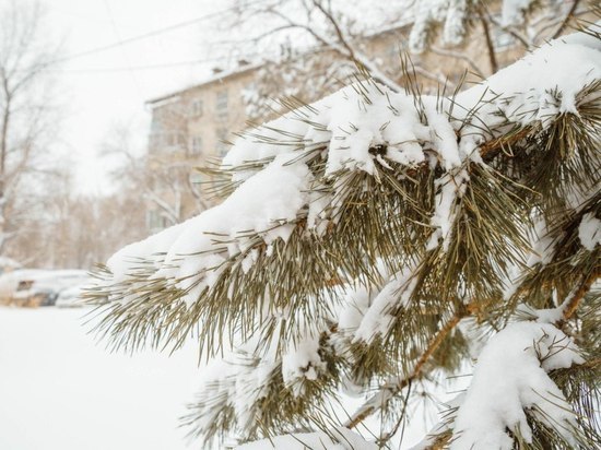 В управлении образования Хабаровска отчитались о ворошении снега