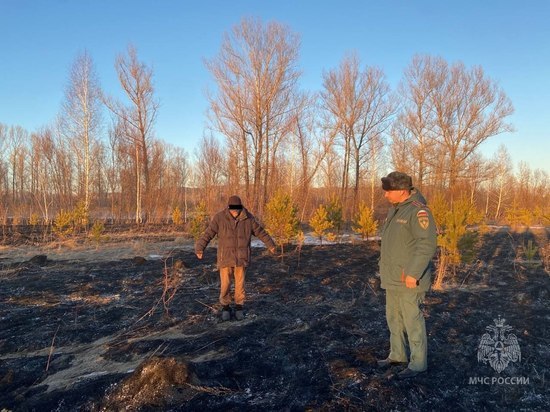 Жителей Красноярского края начали штрафовать за поджог прошлогодней травы