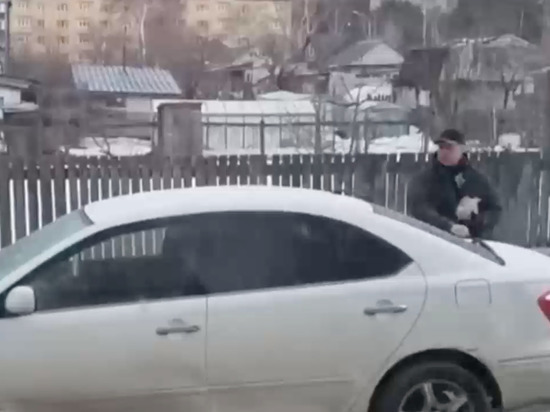 Житель Южно-Сахалинска обсыпал птичьим кормом неправильно припаркованные машины