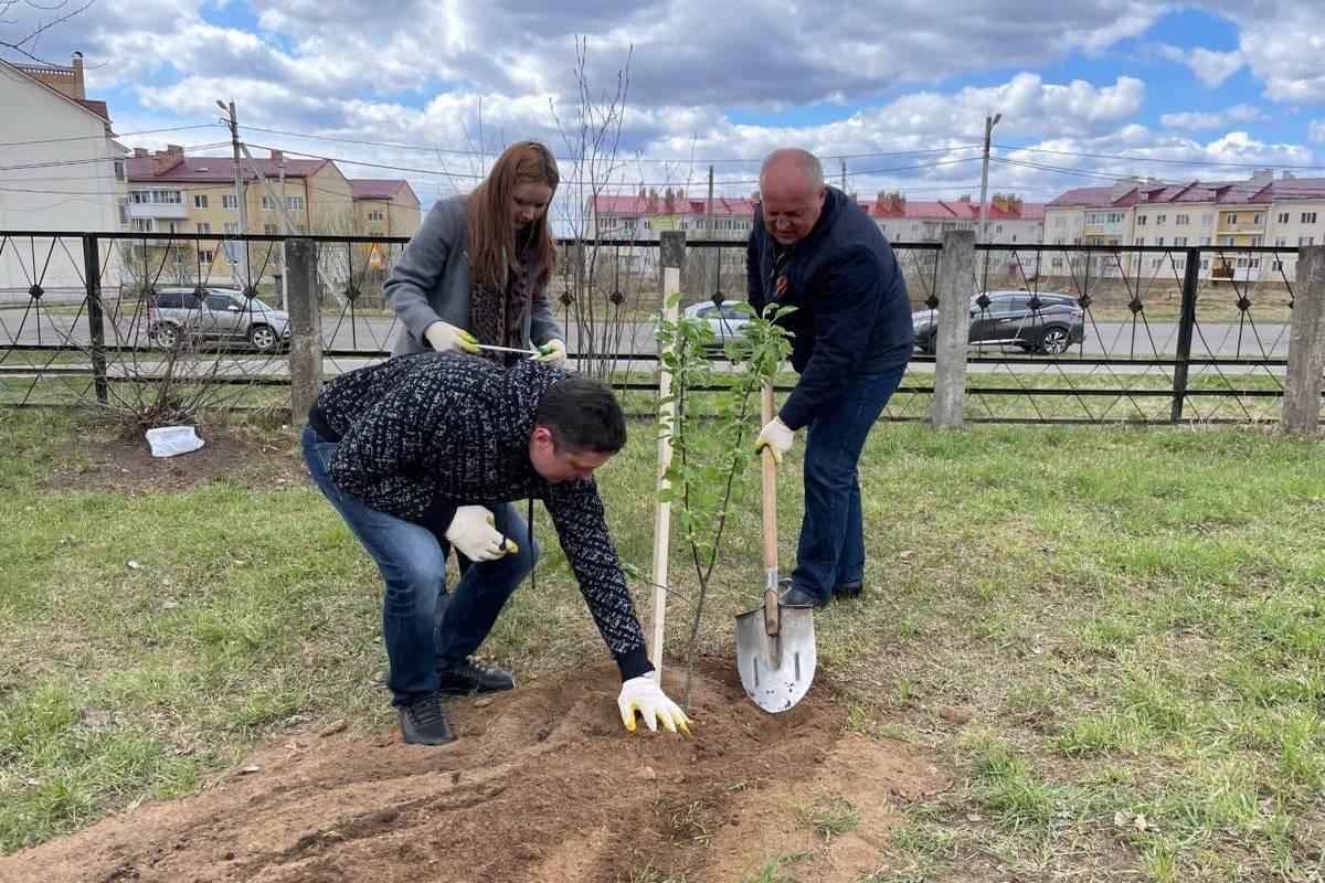 Костромские планы: в городе в этом году будут высажены около 2000 деревьев и кустарников