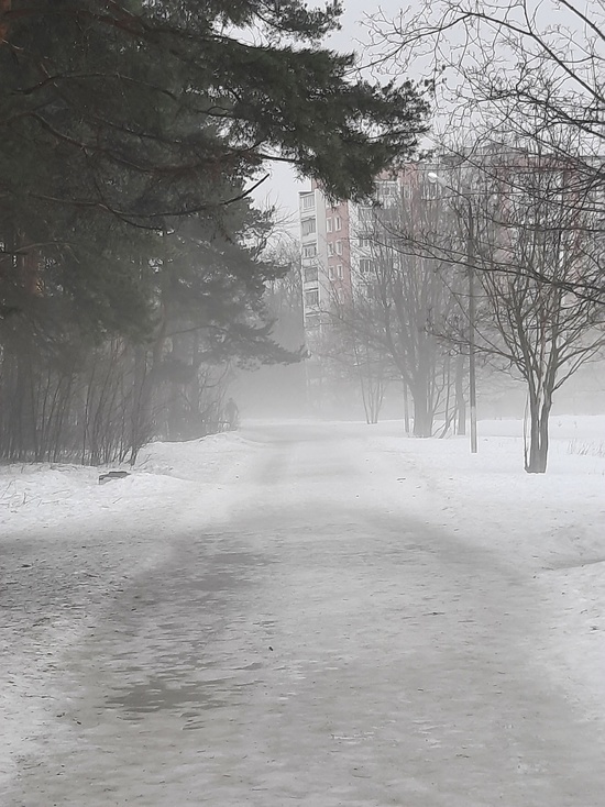 Утром 24 марта на Тверь опустился туман