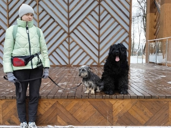 Тренировки для собак пройдут в Серпухове