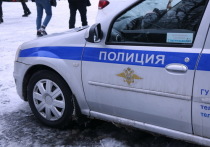 В Нижегородской области на ребенка, переходившего дорогу, наехал автомобиль