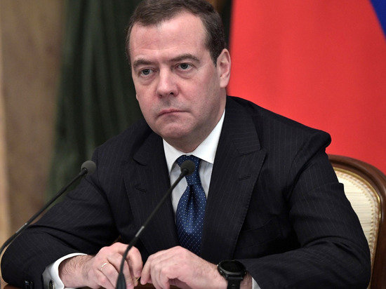 Медведев призвал критиковать власть, но не трогать солдат