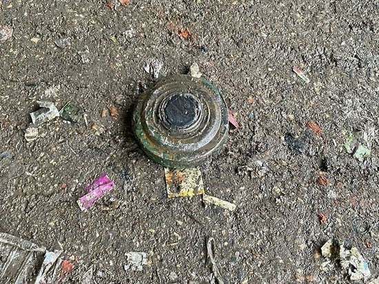 Противопехотную мину нашли на КПО "Рошаль" под Шатурой