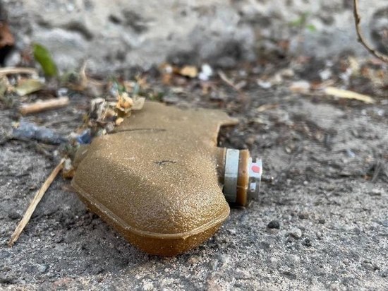 В Петровском районе Донецка обнаружены мины-лепестки