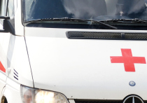 Четверо детей пострадали в результате столкновения «Ленд Ровера» и «Шкода-Октавия» на 31 км автодороги «Егорьевск – М-5 Урал»
