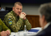 Грядущее контрнаступление украинской армии будет мощным и сумеет удивить весь мир, заявил в интервью изданию NB спецсоветник главкома ВСУ Валерия Залужного Дэн Райс