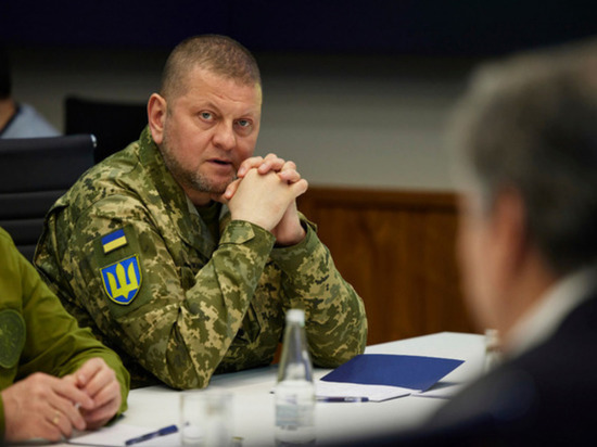 Грядущее контрнаступление украинской армии будет мощным и сумеет удивить весь мир, заявил в интервью изданию NB спецсоветник главкома ВСУ Валерия Залужного Дэн Райс