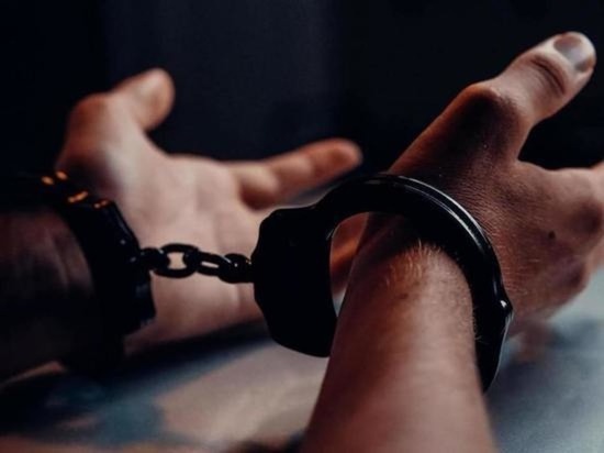 Двух мужчин осудили за попытку контрабанду рогов сайгака в Забайкалье