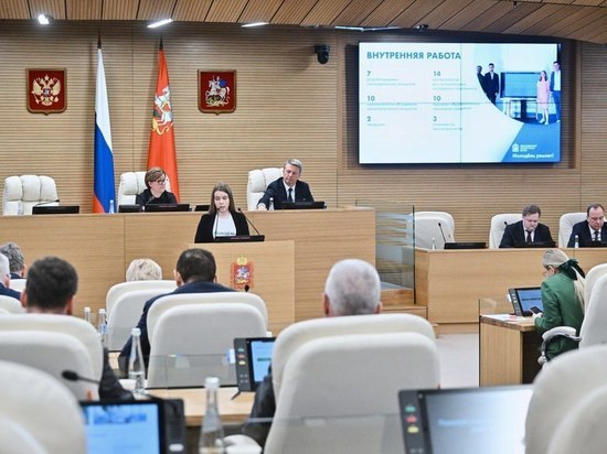Серпуховичка выступила с отчетом работы Московского областного молодежного парламента