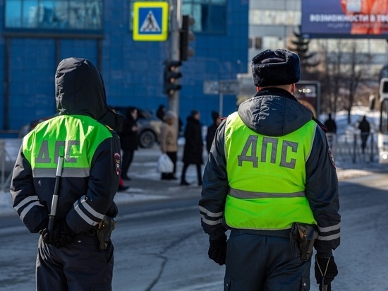 Госавтоинспекция Омской области 25 марта проведёт сплошные проверки на трезвость