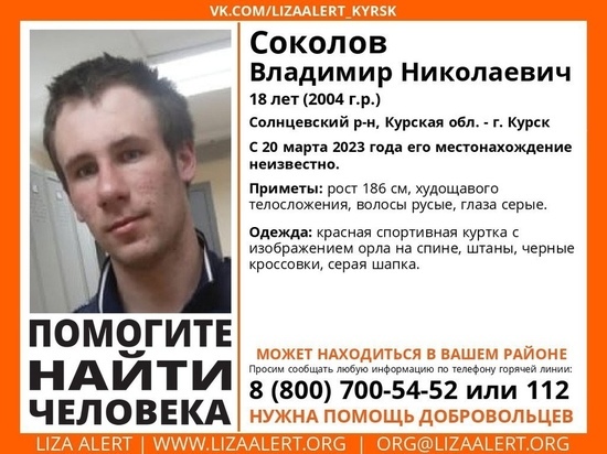 В Курской области 5 дней назад пропал без вести 18-летний парень