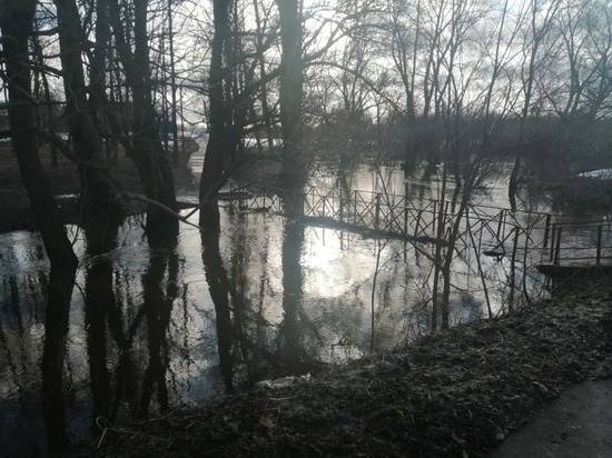 В Солецком округе снизился уровень воды в реке Шелонь