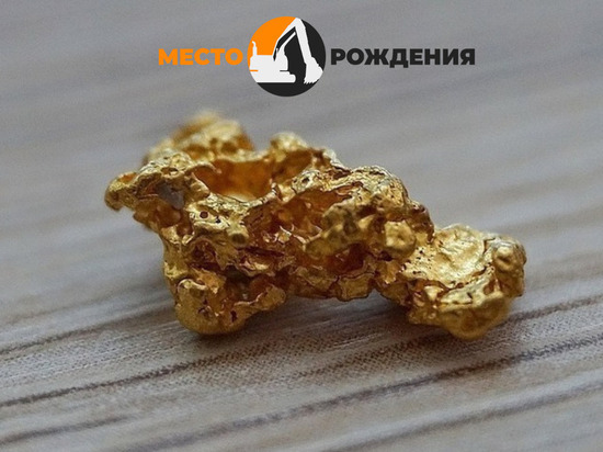 Власти РФ расширили границы ТОР «Забайкалье» для добычи золота и завода ЖБИ