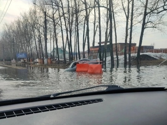 В Дягилеве на окраине Рязани затонул второй автомобиль