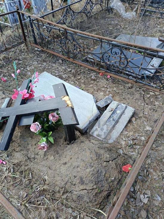 В Воронеже вандалы разгромили кладбище «на Баках» в Левобережном районе города