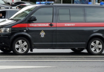 В Екатеринбурге женщина убила своих детей 5 и 8 лет, а после покончила с собой