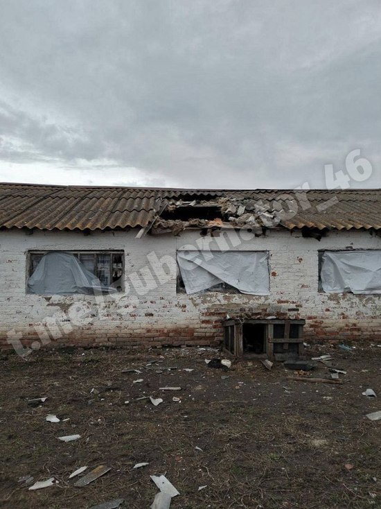 В Курской области во время обстрела ВСУ погибли сельскохозяйственные животные