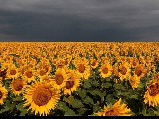 Смоляне могут принять участие в конкурсе «Русская цивилизация»