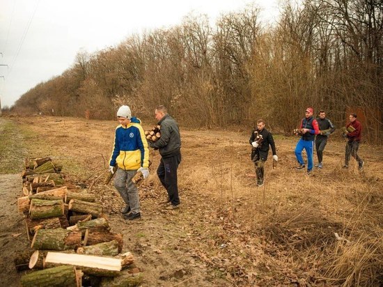 В Курске заготовили 75 кубометров дров для подразделений СВО