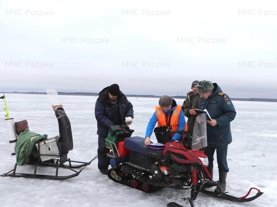 В Рыбинском районе рыбаки провалились под лед с мотособакой