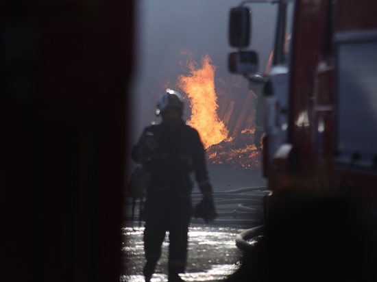 Пожарные Кингисеппского района справились с огнем за 40 минут