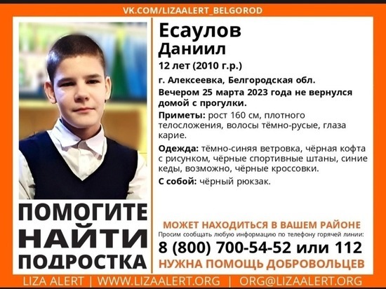 В Белгородской области ищут 12-летнего мальчика, не вернувшегося после прогулки