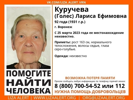 В Воронеже за один день бесследно исчезли сразу две пенсионерки