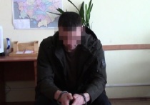 Полицейские Омской области при силовой поддержке спецназа задержали мужчину 1985 года рождения, который подозревается в убийстве двух граждан в частном доме на ул. 2-й Береговой