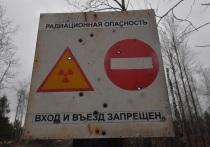 Заявления Запада о поставках на Украину танковых снарядов с ядерным сердечником могут быть типичной операцией прикрытия