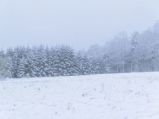 Сильный снег и метель обрушатся на Южные Курилы