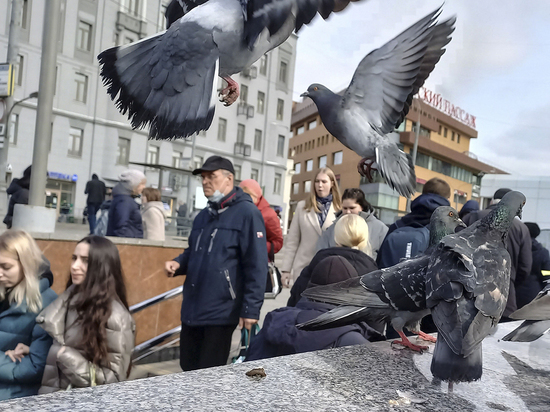 "Осторожно медиа": в центре Москвы транслируют ролики про тревожный чемоданчик