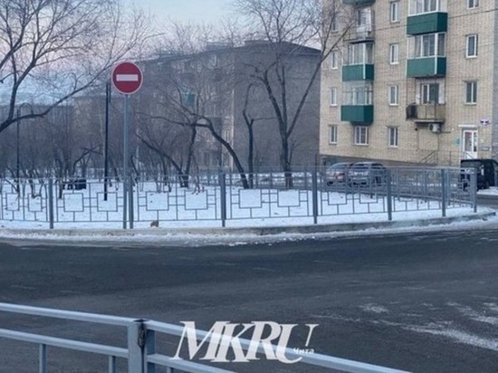 Переход для пешеходов по Смоленской откроют на Горького в Чите