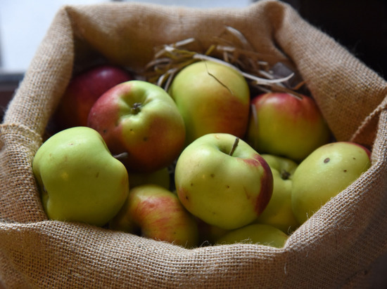 Желтые против красных: как выбрать полезные яблоки