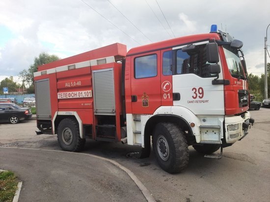 Пожар в однушке на Светлановском обошелся без жертв
