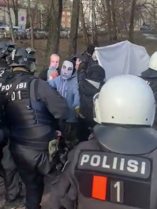 Финская полиция отобрала чучело Эрдогана на митинге в Хельсинки