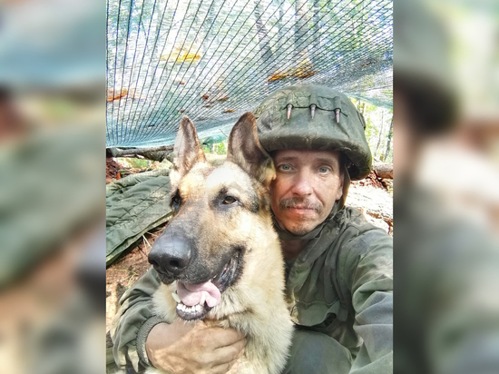 Как боевой пес Сармат помогал российским военным на Украине