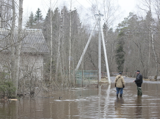 Паводки в Новгородской области: как растаявший снег нарушил привычный уклад жизни в регионе