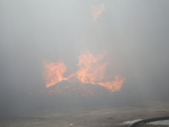 Сарай полностью сгорел на Октябрьской улице в Красном Селе